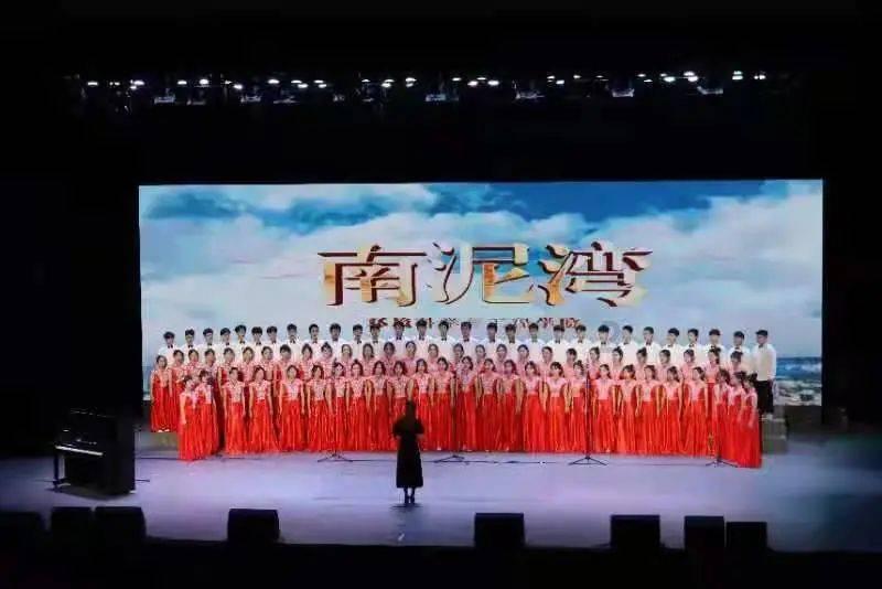 室内如何养好富贵竹